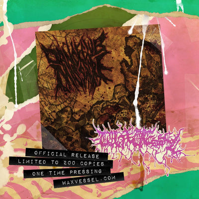 Dance Club Massacre - Feast Of The Blood Monsters