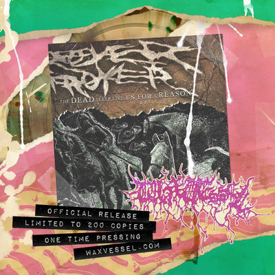 Destroyer Destroyer - The Dead Sleep Like Us For A Reason