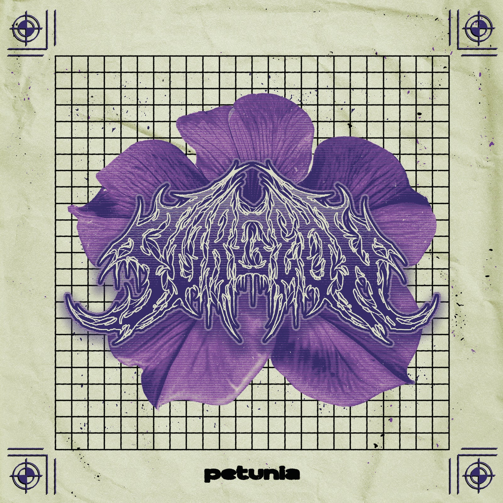 Surgeon - Petunia